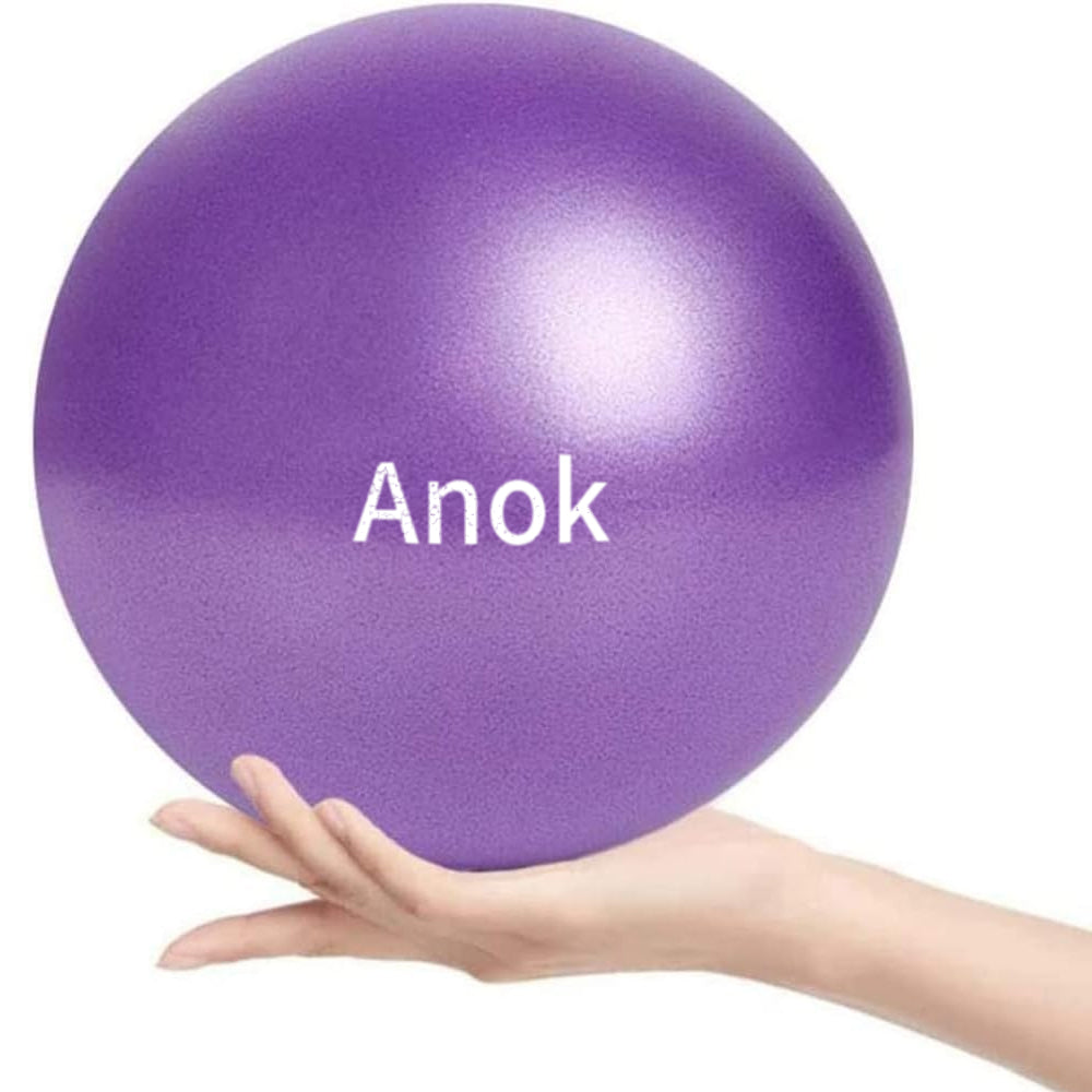 Anok™ Mini Yoga Balls 9 Inch Exercise Pilates Therapy Balance Micropore Ball Barre Equipment for Home Stability Training Physical Core Training
